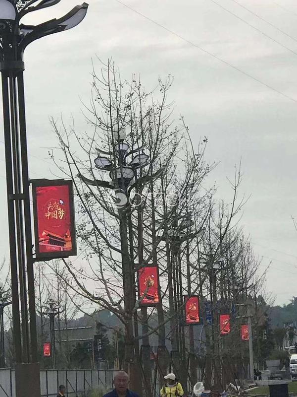 640x1280 double sided P3.33 Light Pole Led Display-.jpg